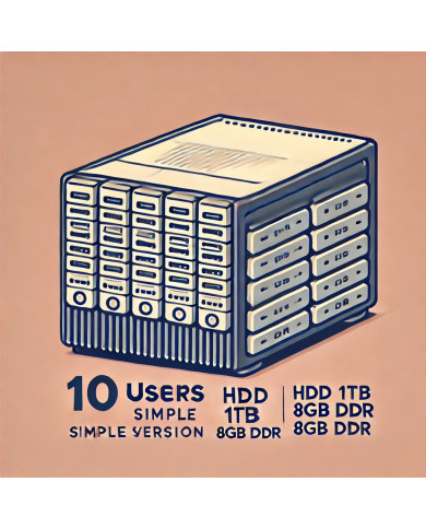 Простой сервер на 10 пользователей