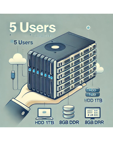 Профессиональный сервер на 5 пользователей