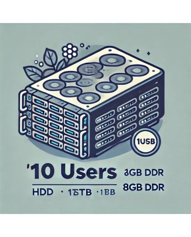 Профессиональный сервер на 10 пользователей